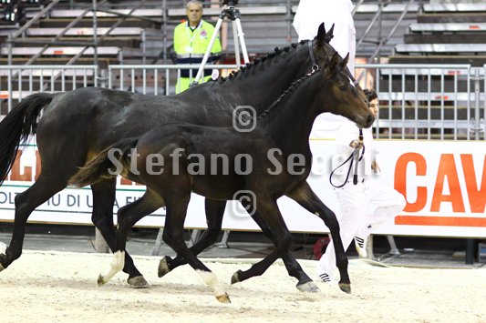 PRINCESS LIESA_MILANO_2010_SS3_7452.jpg